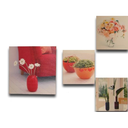 Conjunto de cuadros de plantas y flores